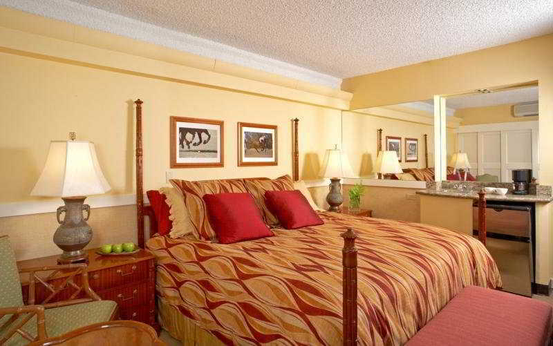 Equus Hotel Honolulu Quarto foto
